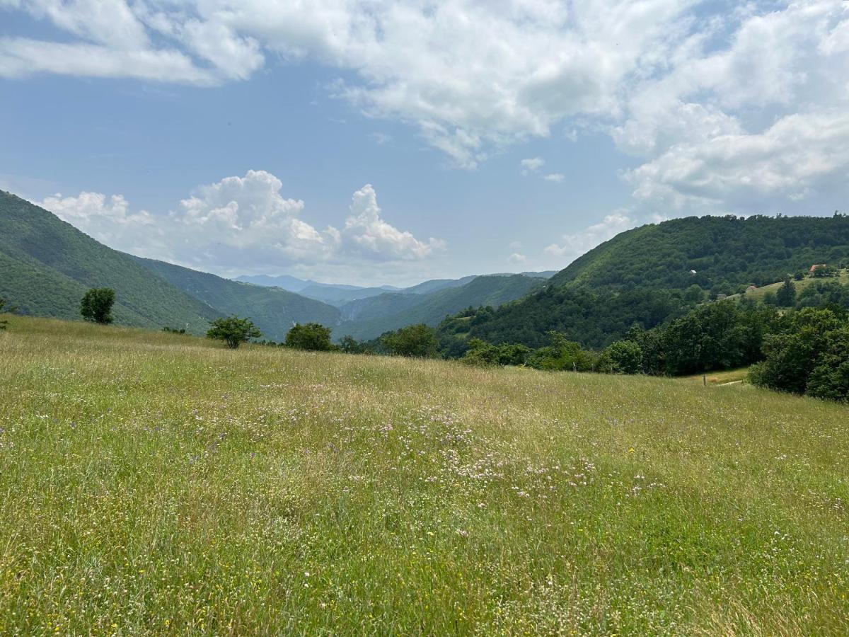 Vignjista Hotel Plužine Buitenkant foto