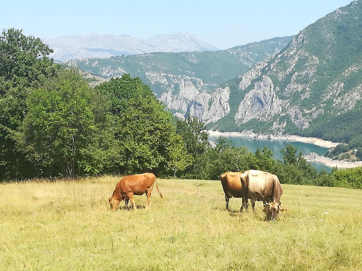 Vignjista Hotel Plužine Buitenkant foto