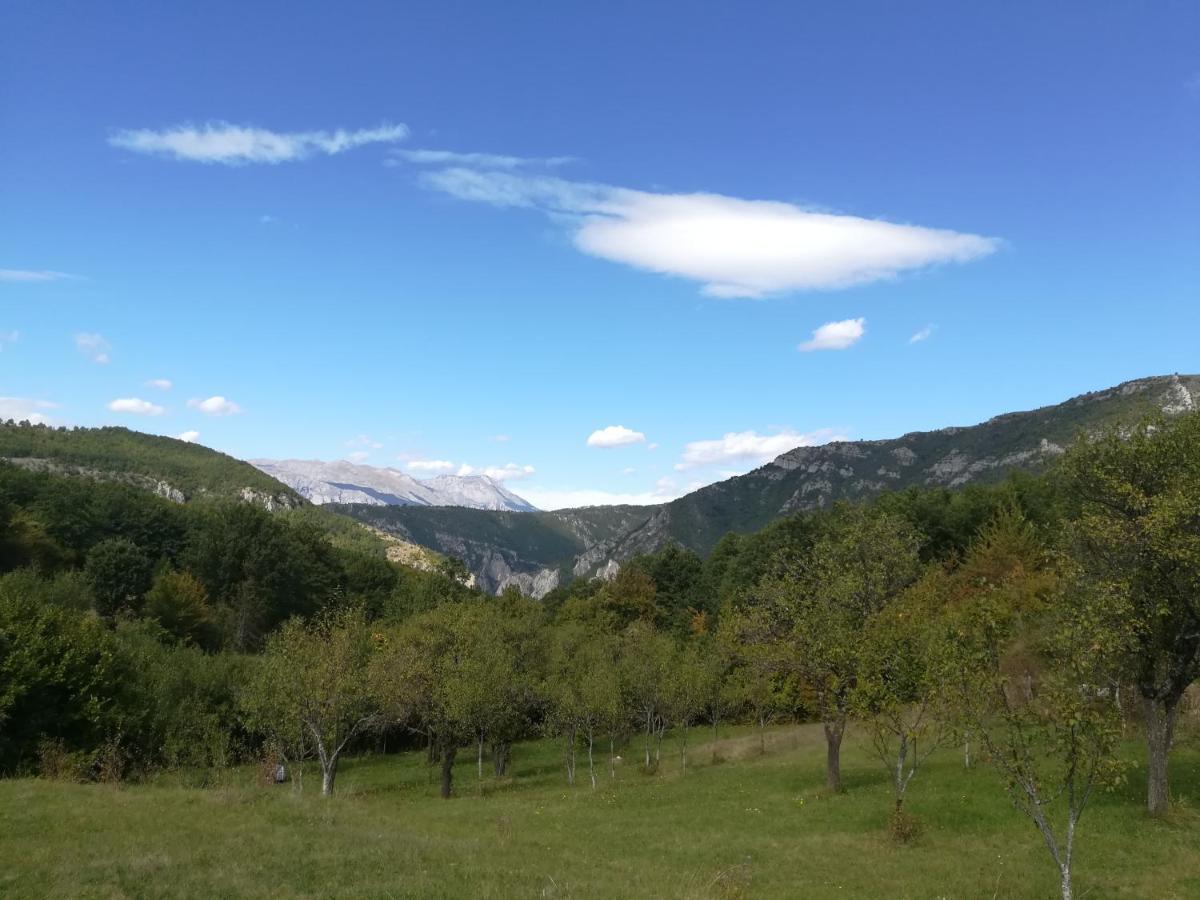 Vignjista Hotel Plužine Buitenkant foto