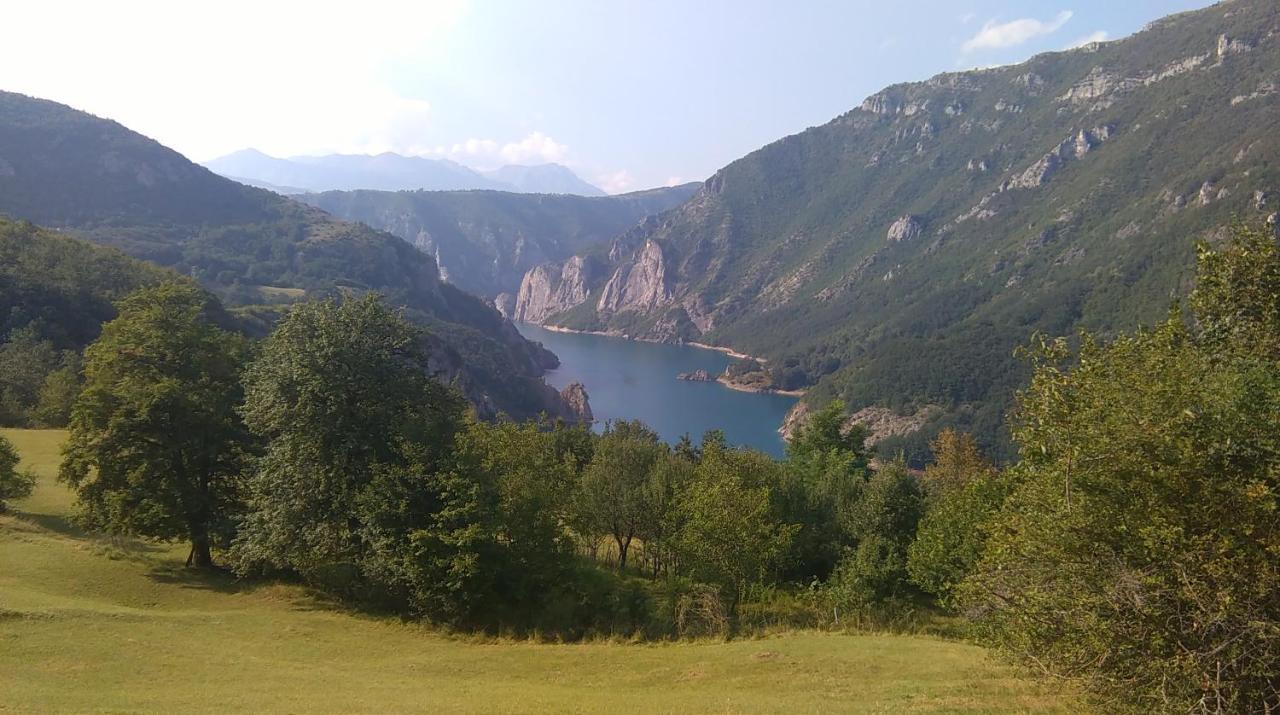 Vignjista Hotel Plužine Buitenkant foto