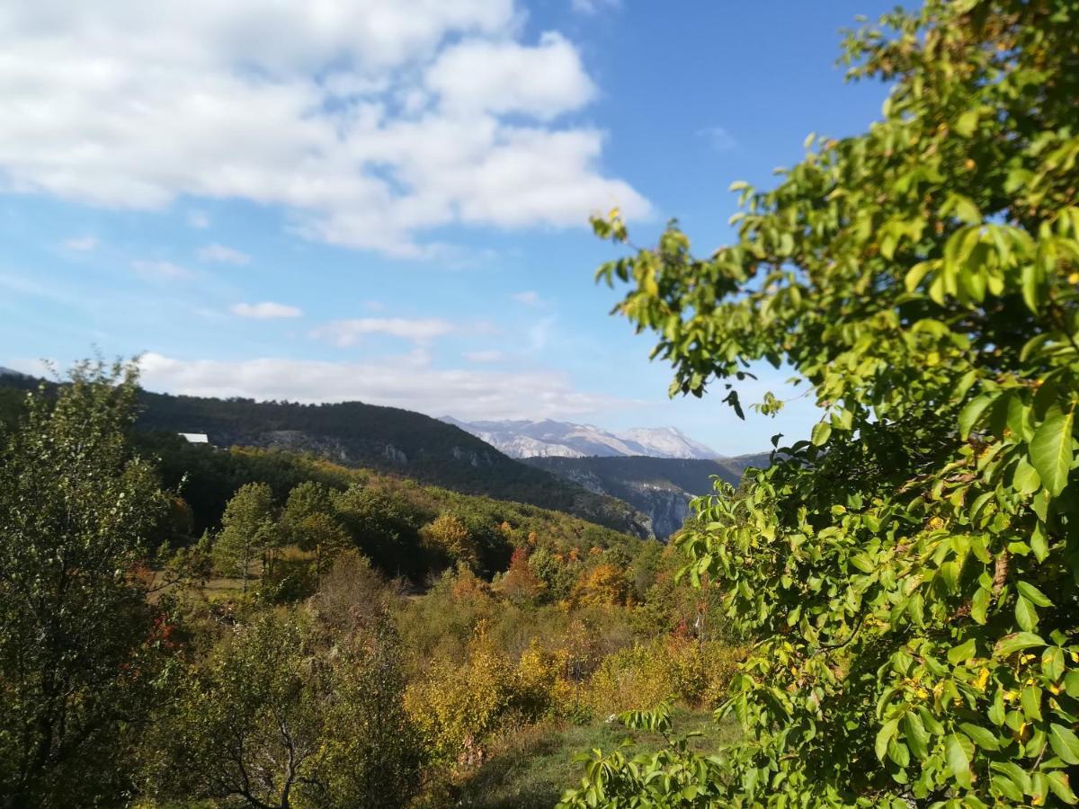 Vignjista Hotel Plužine Buitenkant foto