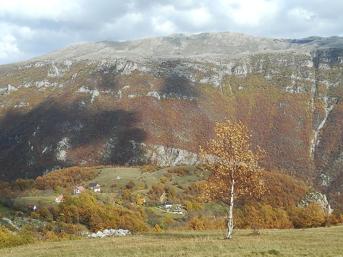 Vignjista Hotel Plužine Buitenkant foto